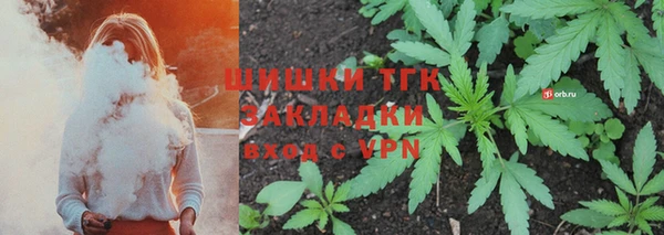 амф Богданович