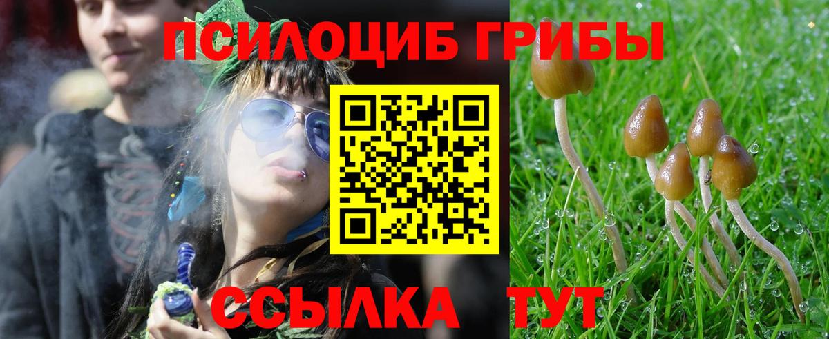 Псилоцибиновые грибы Magic Shrooms Златоуст