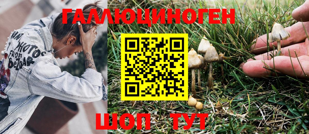 Галлюциногенные грибы прущие грибы  сколько стоит  Галлюциногенные грибы прущие грибы  Златоуст 