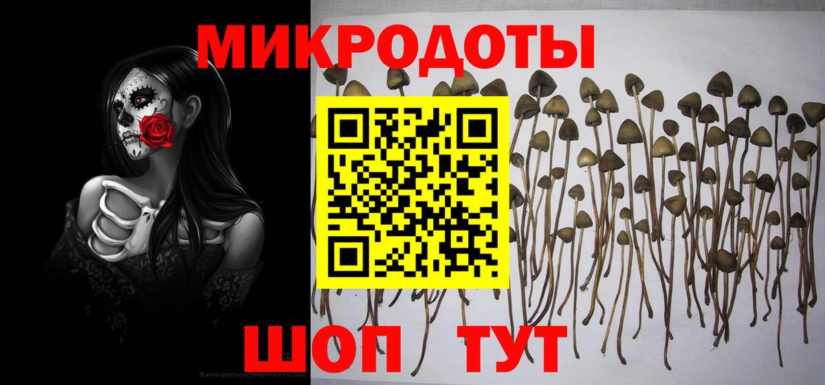 Псилоцибиновые грибы Magic Shrooms Златоуст