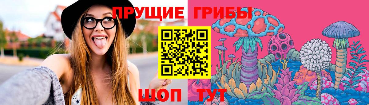 Златоуст  Псилоцибиновые грибы ЛСД  Псилоцибиновые грибы Magic Shrooms  Вход с VPN 